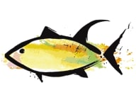 Yellowfinn Grill & Sushi Bar