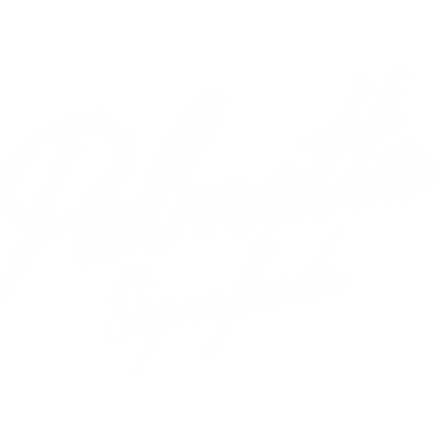 Palmetto Superfoods - San Juan Capistrano