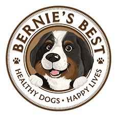 Bernie's Best