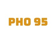 Pho 95 Vietnamese Cuisine