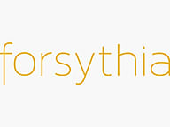 Forsythia