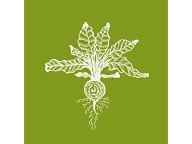 EYV Restaurant
