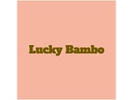 Lucky Bamboo