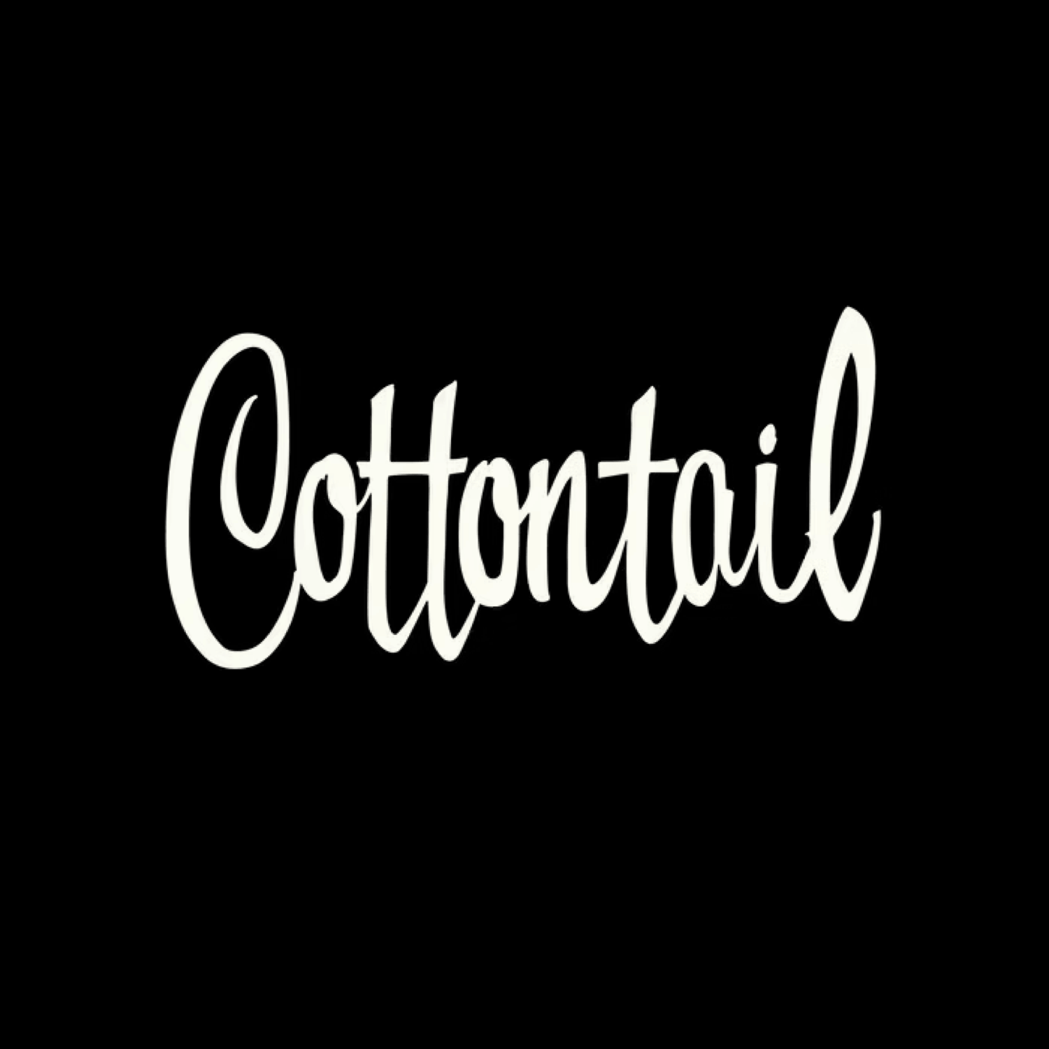 Cottontail