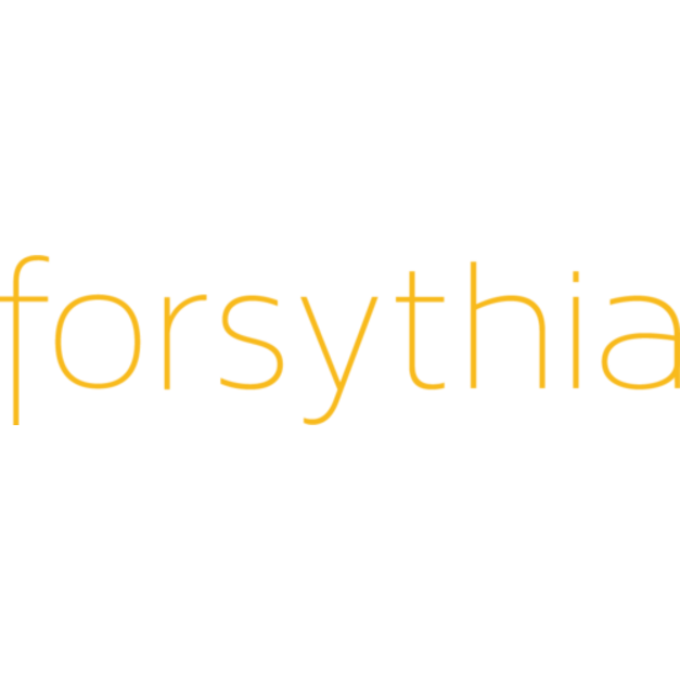 Forsythia