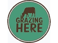 Grazing Here